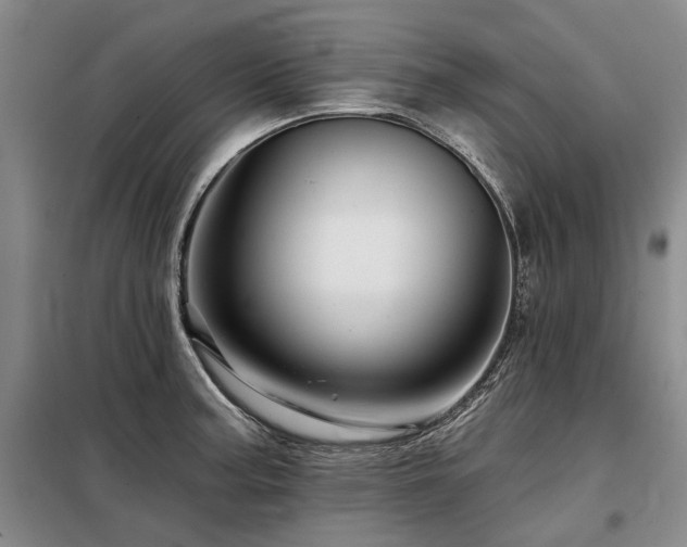X0000098151187200804171605