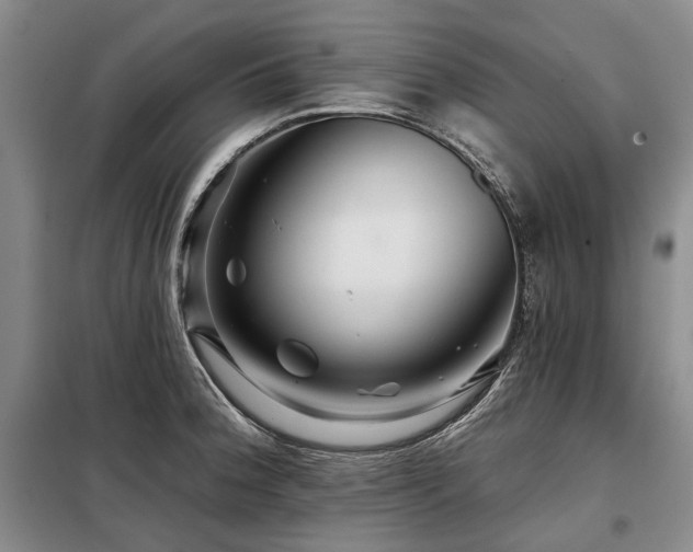 X0000098151188200804171605