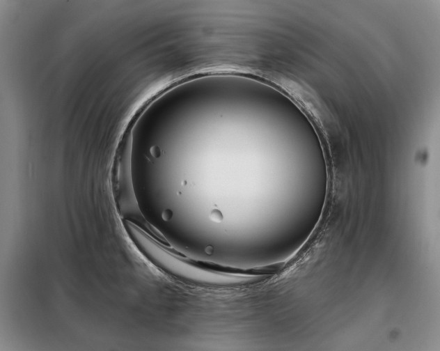 X0000098151189200804171605