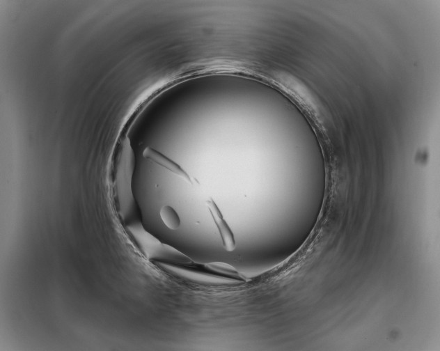 X0000098151190200804171605