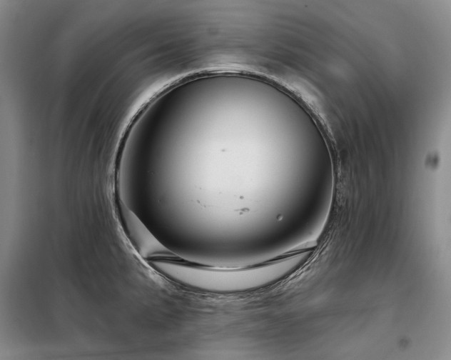 X0000098151191200804171605