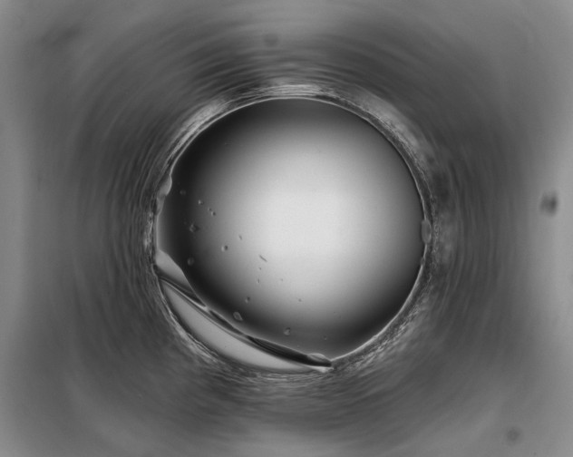 X0000098151193200804171605