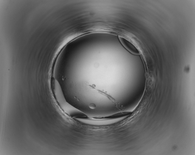 X0000098151195200804171605