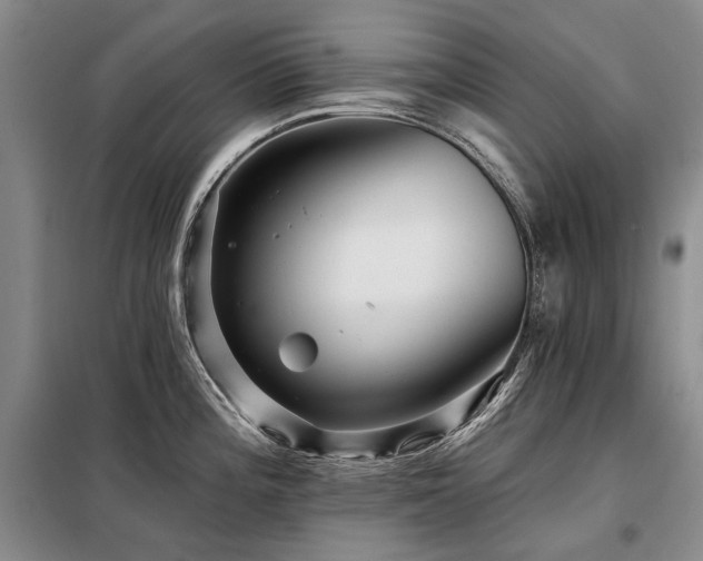 X0000098151196200804171605