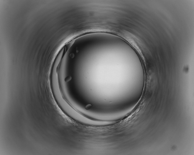 X0000098151197200804171605
