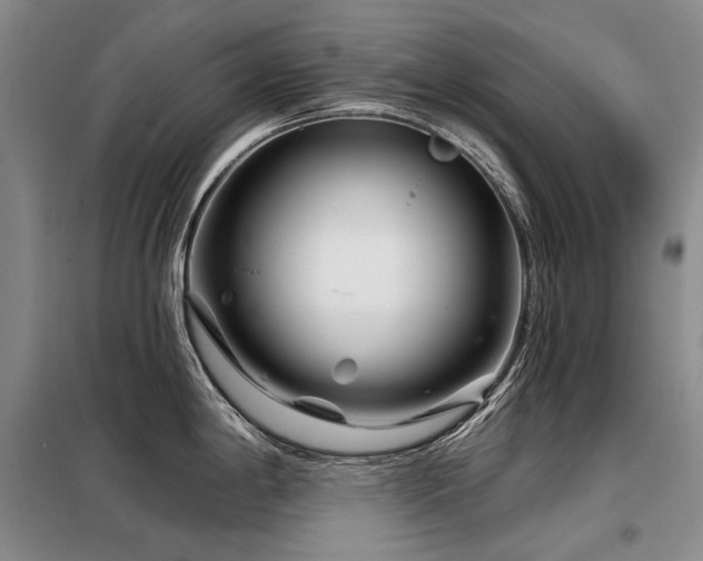 X0000098151198200804171605