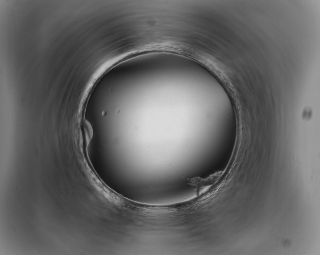 X0000098151200200804171605