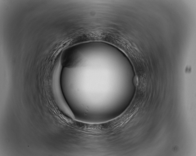 X0000098151201200804171604