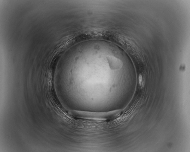 X0000098151203200804171604