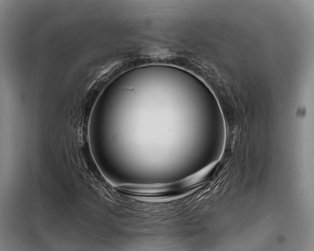 X0000098151205200804171604