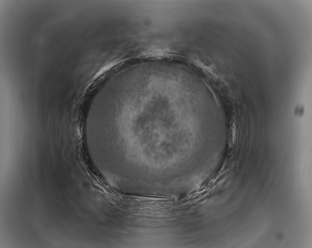 X0000098151206200804171604