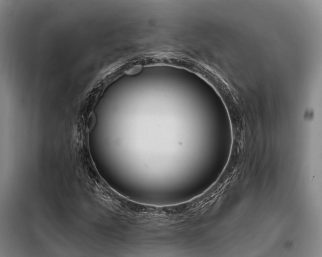 X0000098151207200804171604