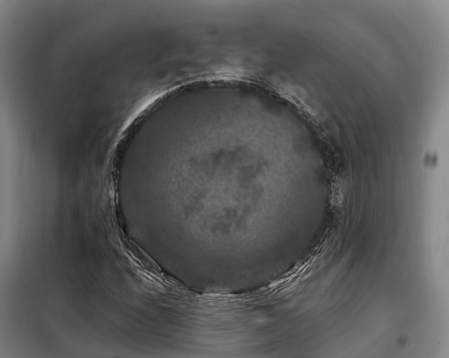 X0000098151208200804171604