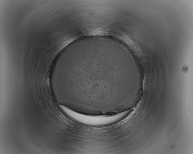 X0000098151209200804171604