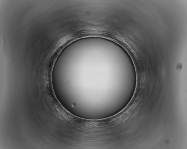 X0000098151211200804171604