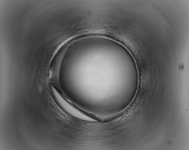 X0000098151212200804171604
