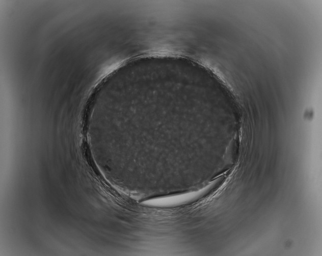 X0000098151213200804171604