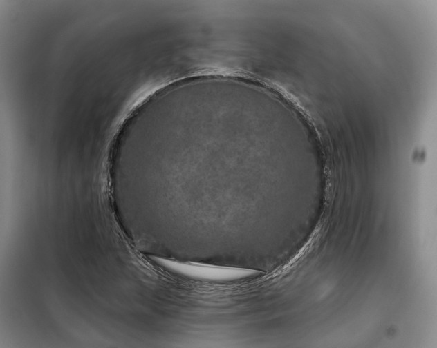 X0000098151215200804171604