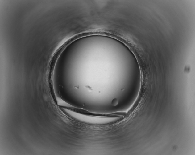 X0000098151216200804171604