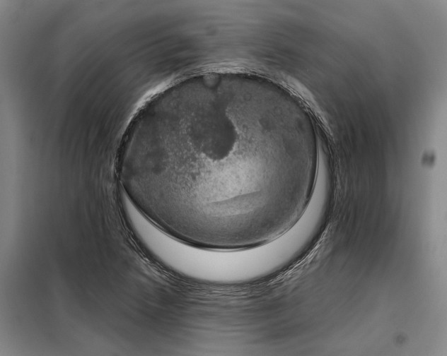 X0000098151218200804171604