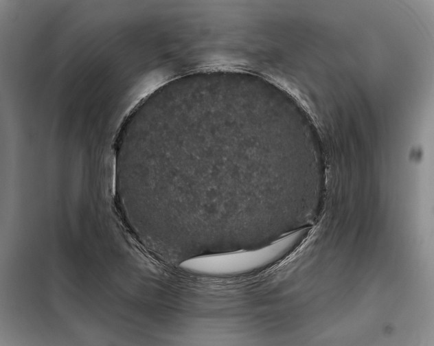X0000098151219200804171604