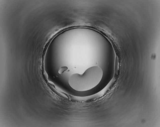 X0000098151220200804171604
