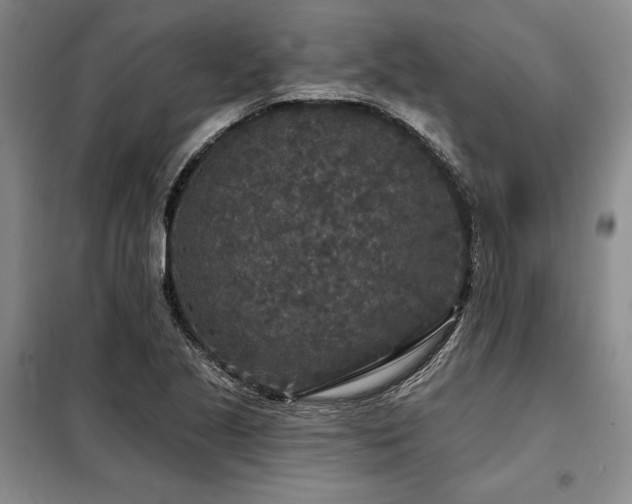 X0000098151221200804171604