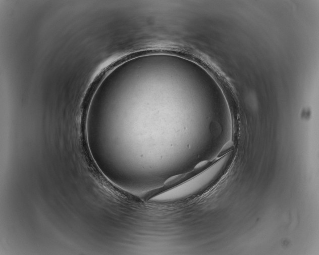 X0000098151222200804171604