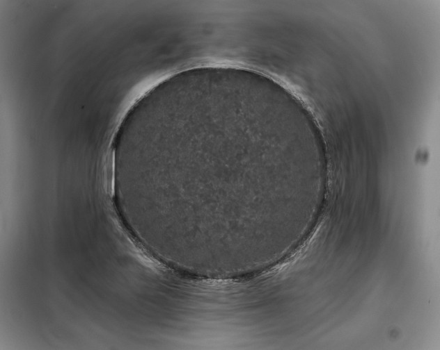 X0000098151223200804171604