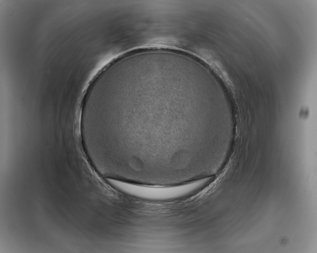 X0000098151224200804171604
