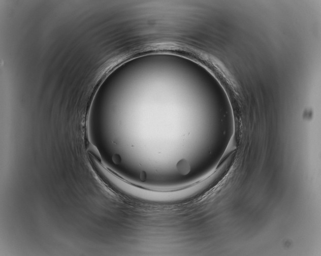X0000098151225200804171604
