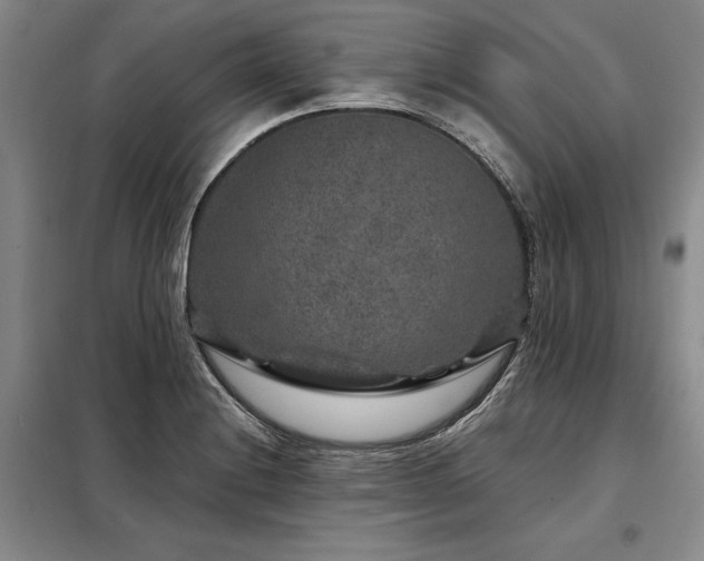 X0000098151228200804171604