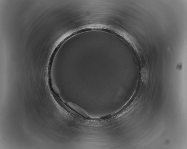 X0000098151229200804171604