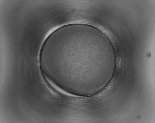 X0000098151230200804171604