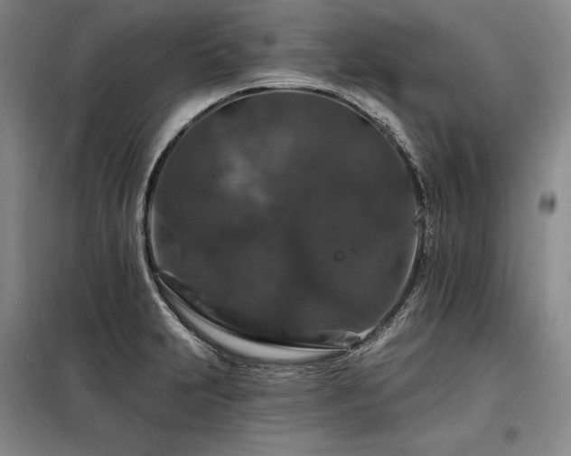 X0000098151231200804171604