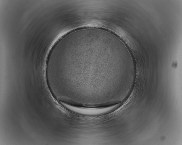 X0000098151232200804171604
