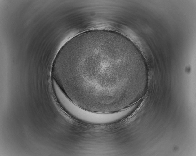 X0000098151234200804171604