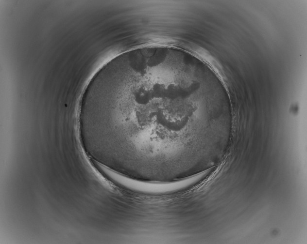 X0000098151235200804171604