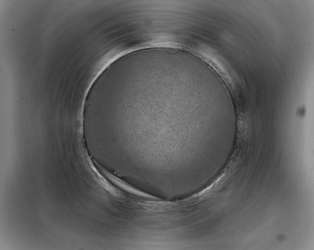 X0000098151236200804171604