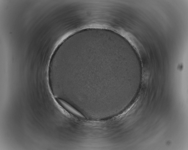 X0000098151237200804171604