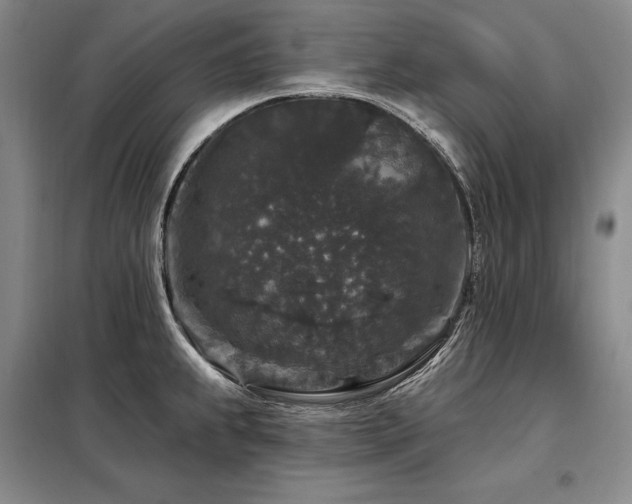 X0000098151239200804171604