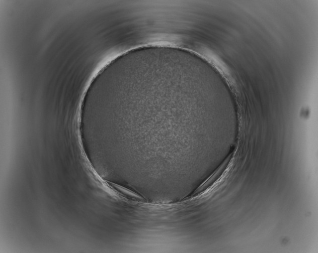 X0000098151240200804171604