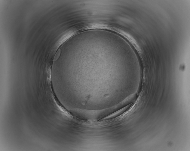 X0000098151241200804171604