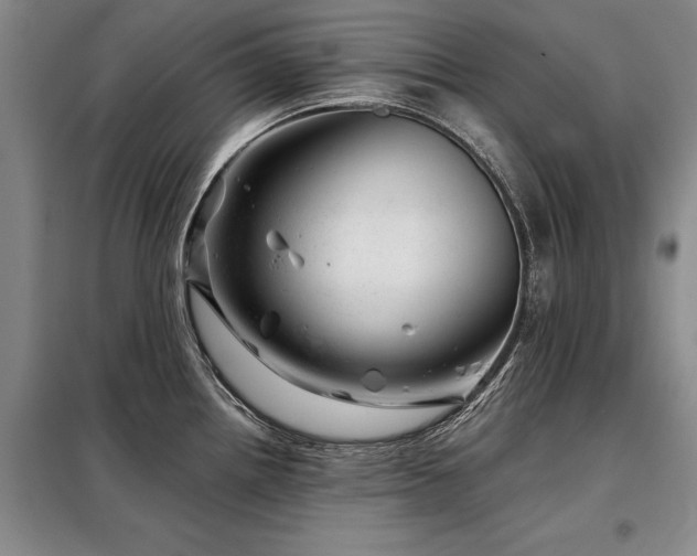 X0000098151242200804171604