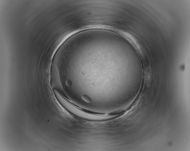 X0000098151244200804171605