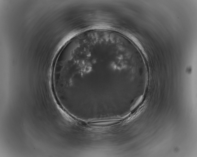 X0000098151245200804171605