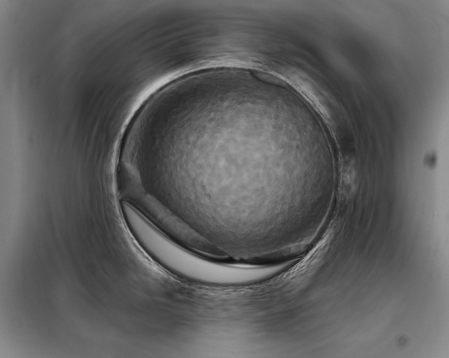 X0000098151246200804171605
