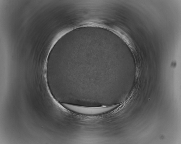 X0000098151247200804171605