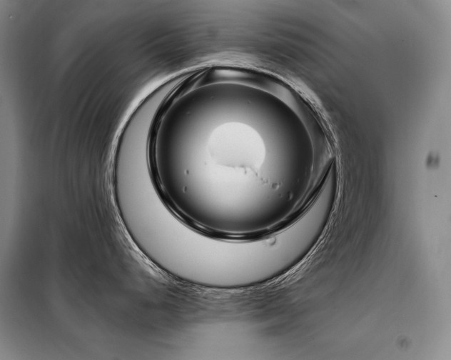 X0000098151248200804171605