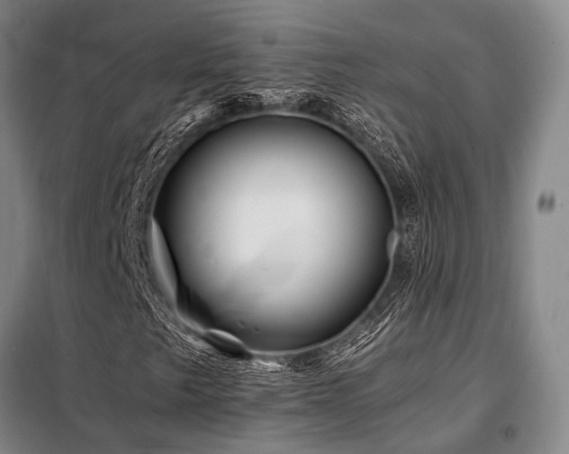 X0000098151249200804171604